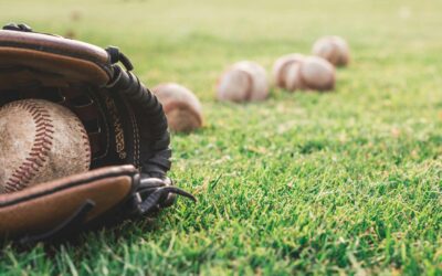 The Economics of SPORTS: How Teams, Fans, and Brands Interact